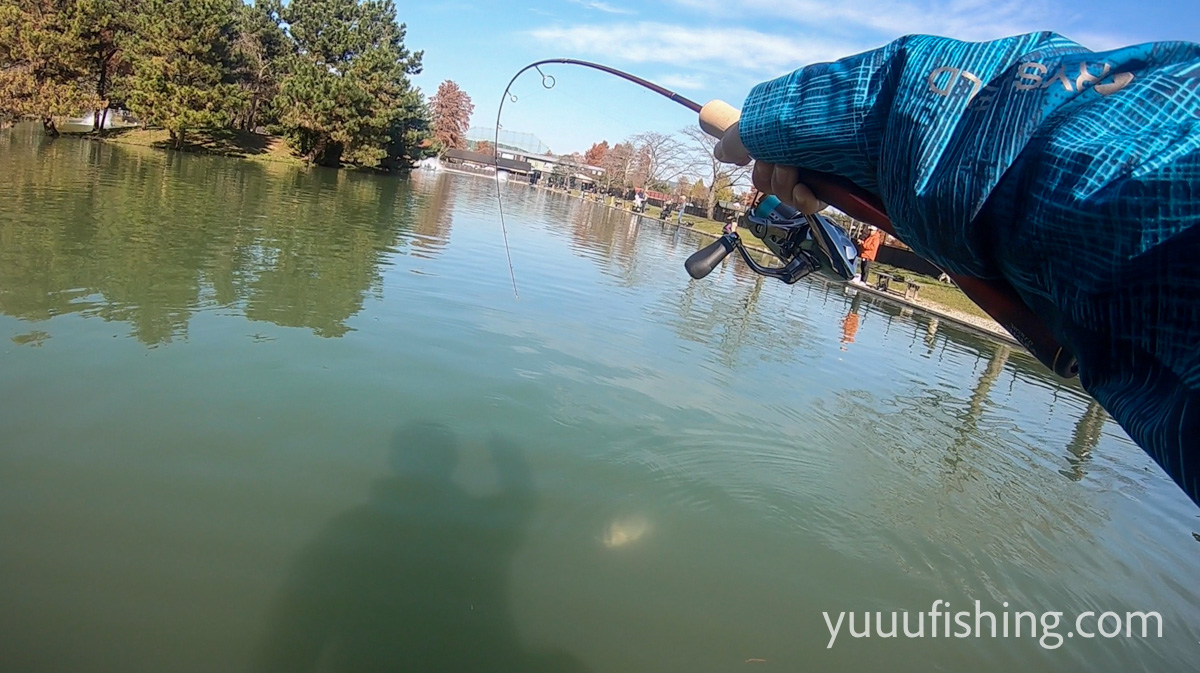 シマノ ワールドシャウラ テクニカルエディション S66ul 2 F をインプレッション Yuuu Fishing