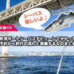 【初心者に捧ぐ】東京湾ボートシーバスデビューして分かった！予約から釣行の流れと準備するものまとめ