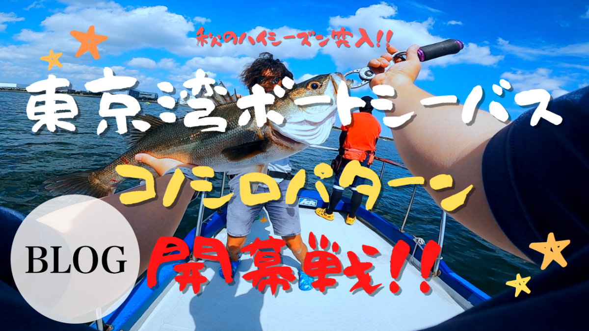 初心者に捧ぐ 東京湾ボートシーバスデビューして分かった 予約から釣行の流れと準備するものまとめ Yuuu Fishing